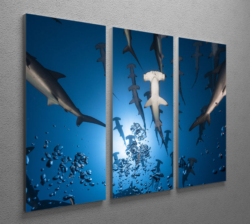 Hammerhead Shark 3 Split Panel Canvas Print - Canvas Art Rocks - 2