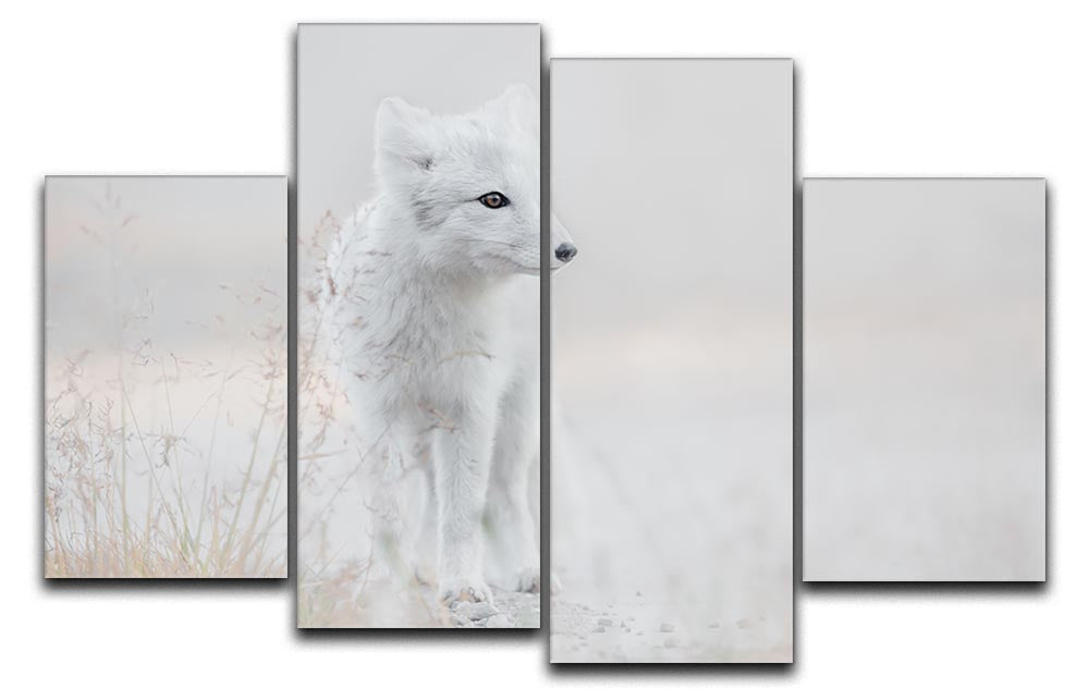 Fox Looking around 4 Split Panel Canvas - Canvas Art Rocks - 1