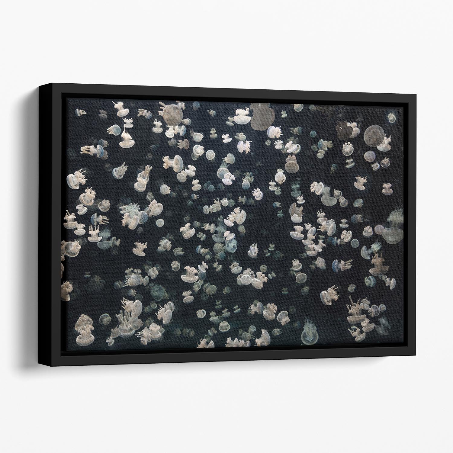 Just Some Jellies Floating Framed Canvas - Canvas Art Rocks - 1