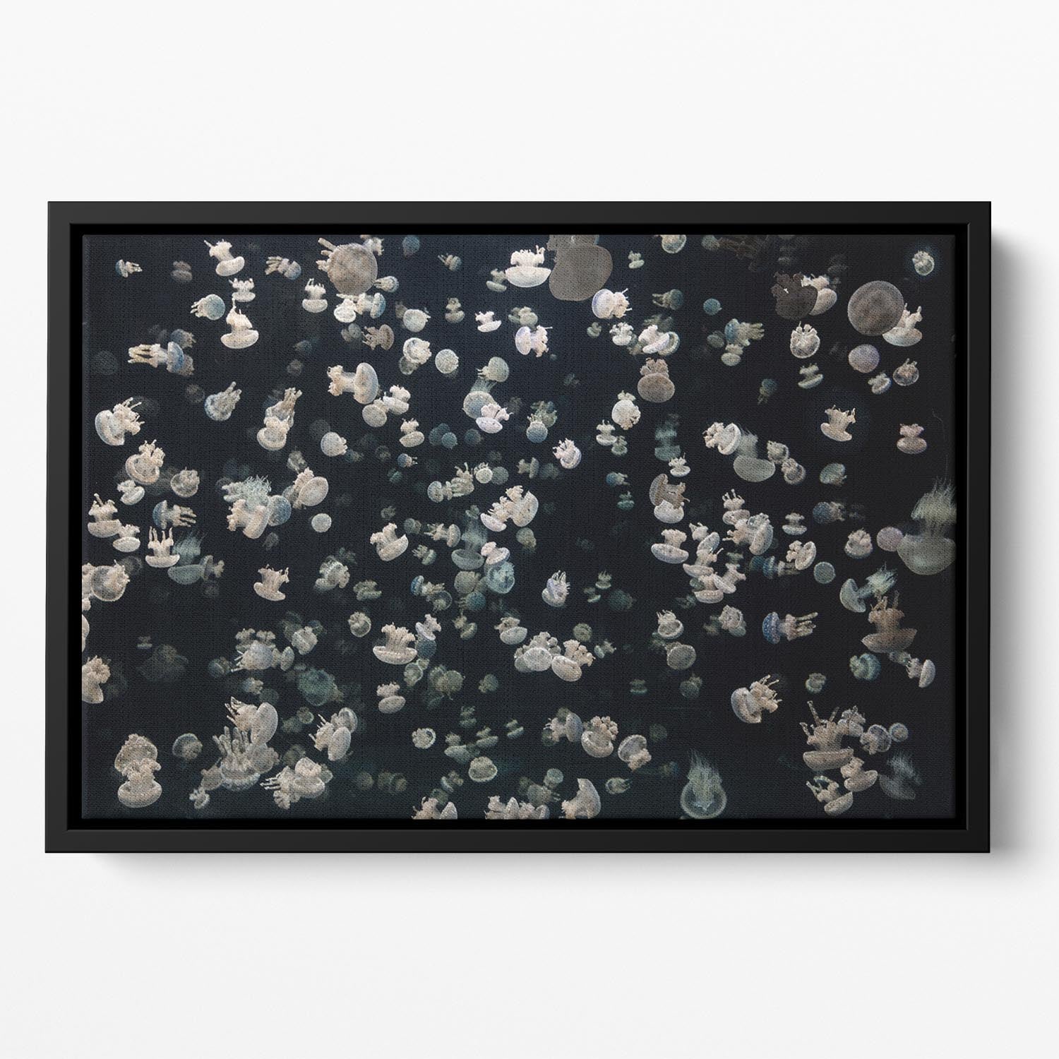 Just Some Jellies Floating Framed Canvas - Canvas Art Rocks - 2