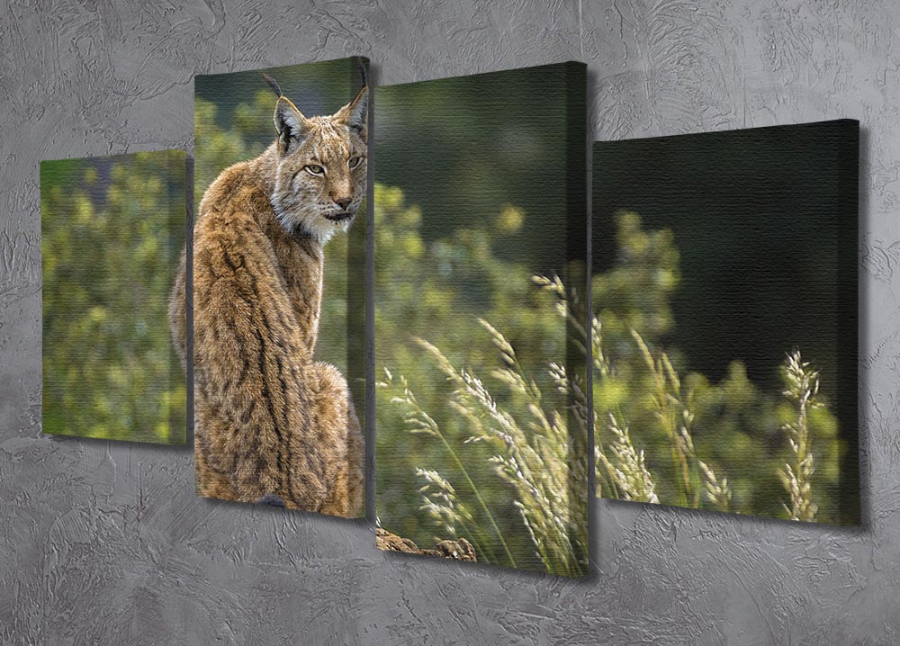 Lynx 4 Split Panel Canvas - Canvas Art Rocks - 2