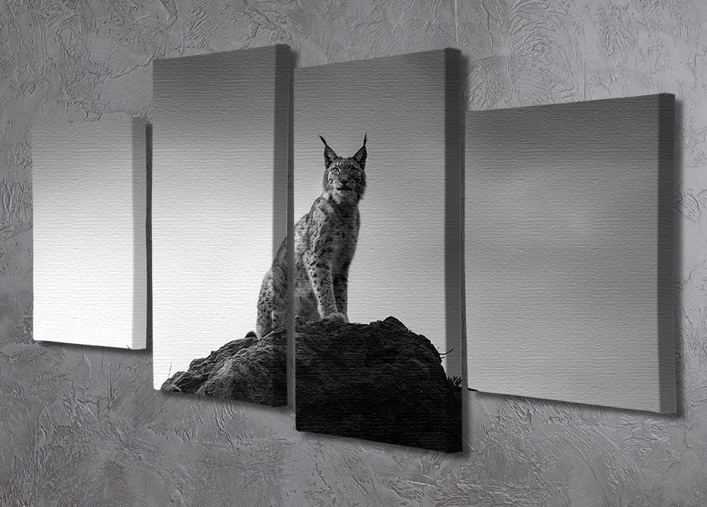 Lynx drama 4 Split Panel Canvas - Canvas Art Rocks - 2