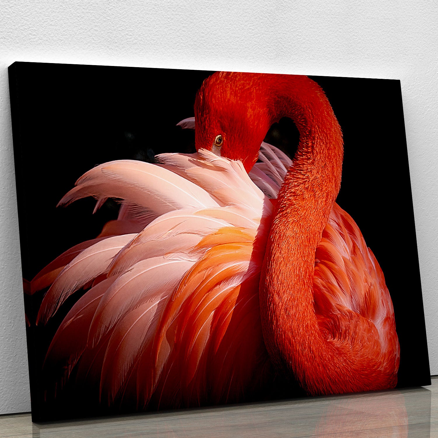 flamingo Close Up Canvas Print or Poster - Canvas Art Rocks - 1
