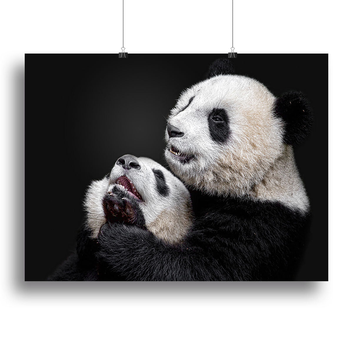 Pandas Playing Canvas Print or Poster - Canvas Art Rocks - 2