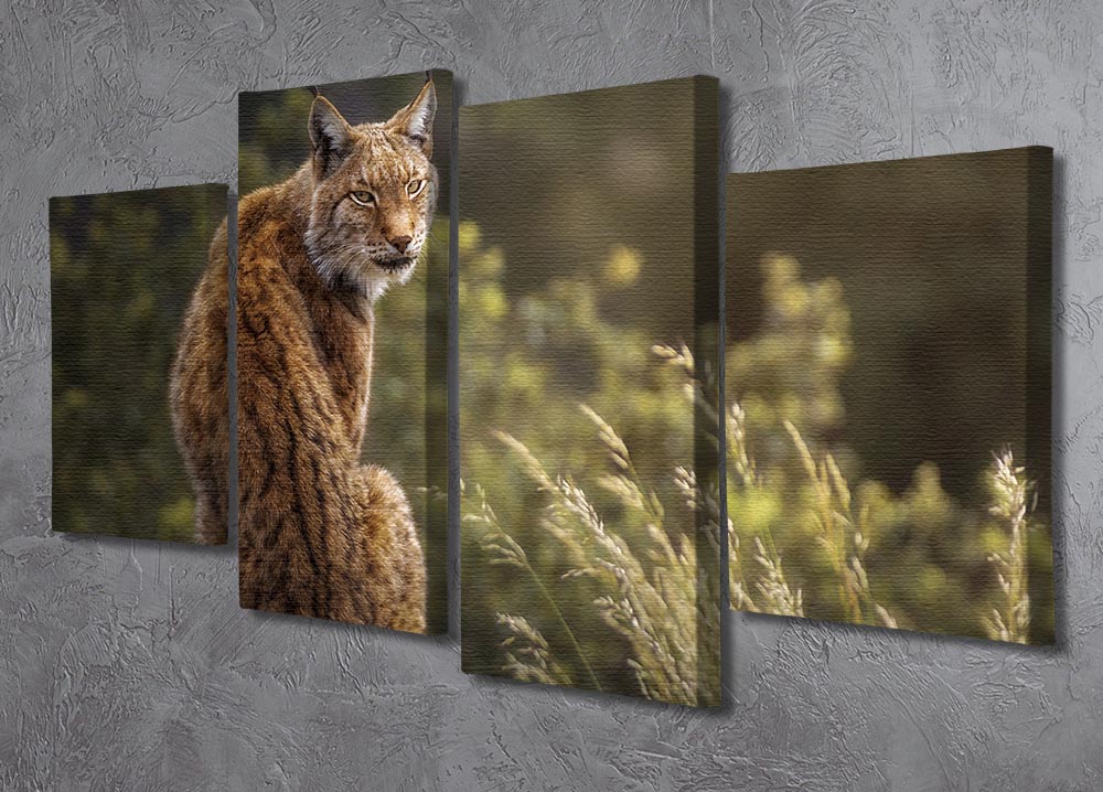 Lynx Fine Art 4 Split Panel Canvas - Canvas Art Rocks - 2