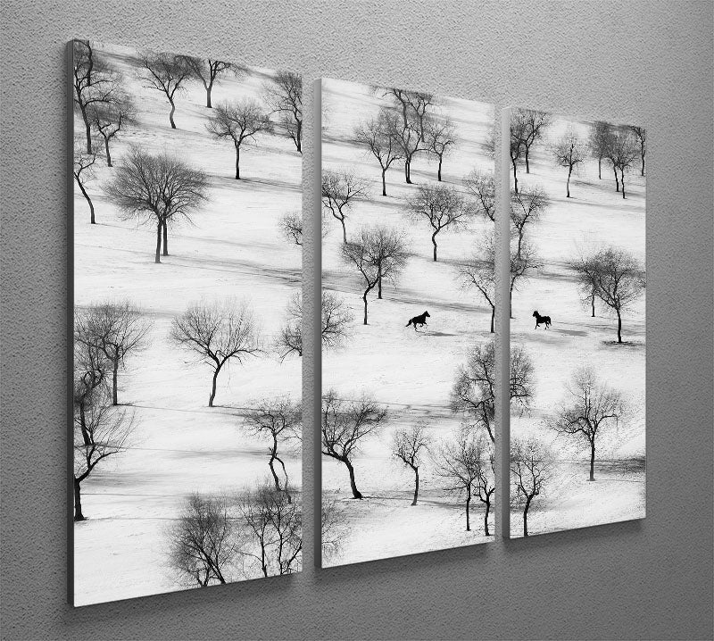 Run 3 Split Panel Canvas Print - Canvas Art Rocks - 2