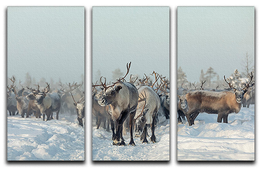 Reindeers 3 Split Panel Canvas Print - Canvas Art Rocks - 1