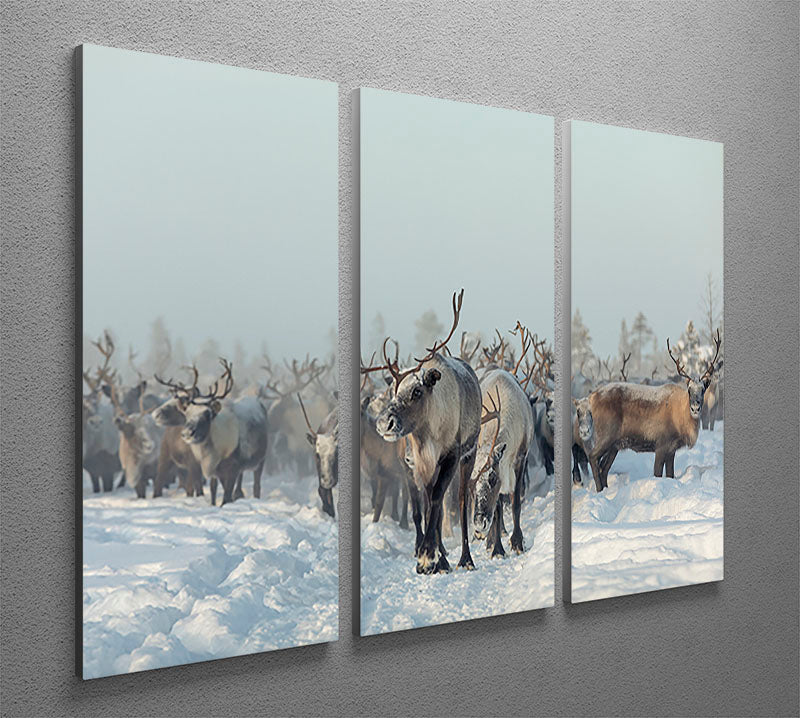 Reindeers 3 Split Panel Canvas Print - Canvas Art Rocks - 2