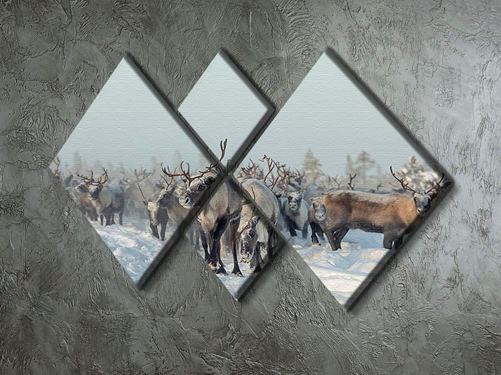 Reindeers 4 Square Multi Panel Canvas - Canvas Art Rocks - 2