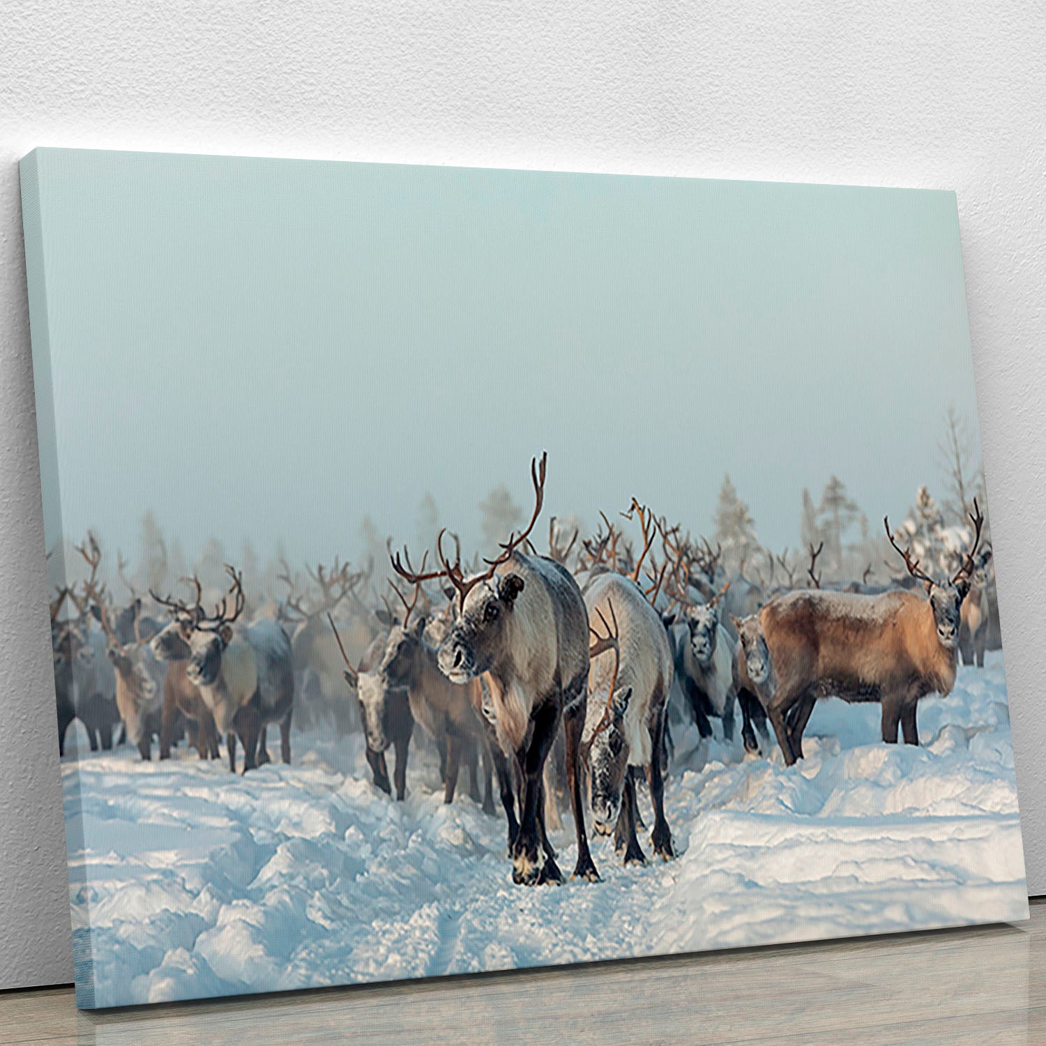 Reindeers Canvas Print or Poster - Canvas Art Rocks - 1