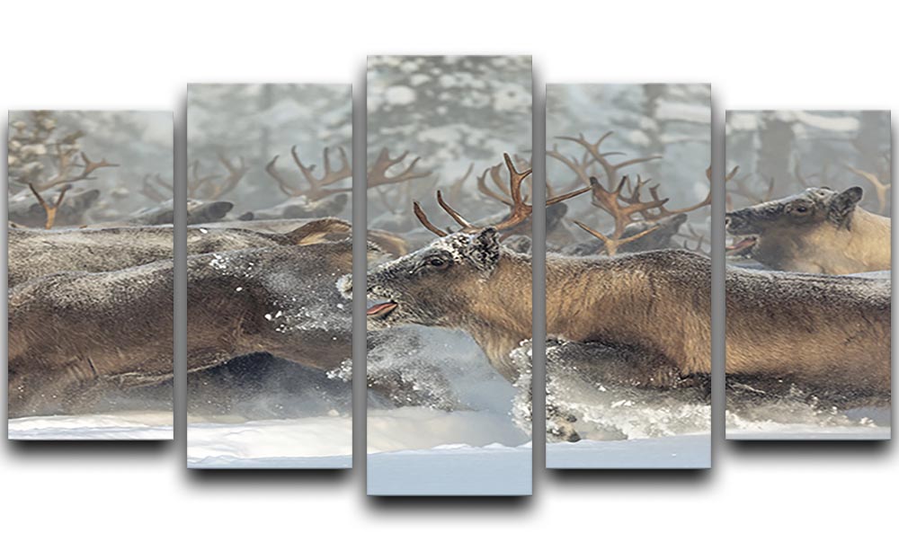 Reindeers III 5 Split Panel Canvas - Canvas Art Rocks - 1