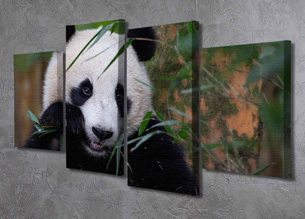 Bamboo Time 4 Split Panel Canvas - 1x - 2