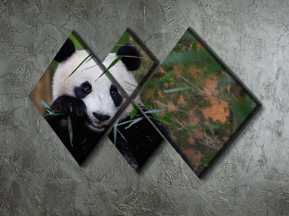 Bamboo Time 4 Square Multi Panel Canvas - 1x - 2