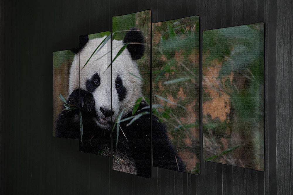 Bamboo Time 5 Split Panel Canvas - 1x - 2