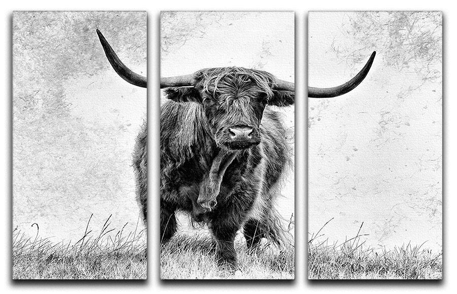 Highland Cow 3 Split Panel Canvas Print - Canvas Art Rocks - 1