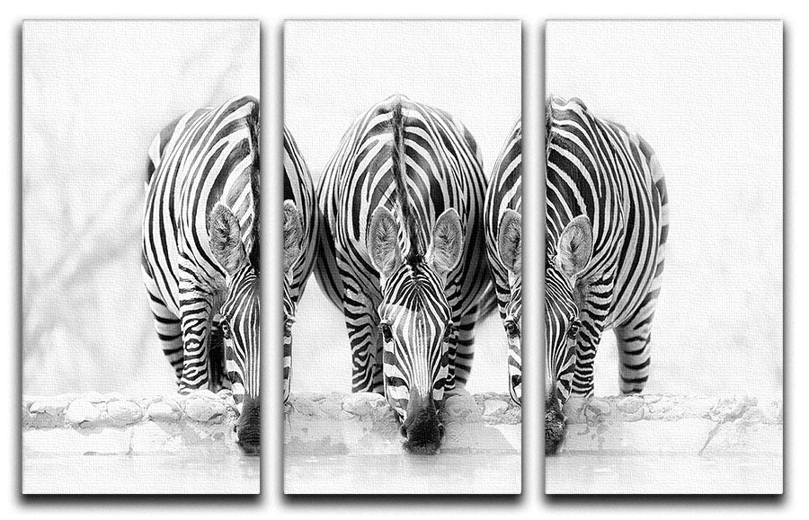 Zebras Drinking 3 Split Panel Canvas Print - Canvas Art Rocks - 1