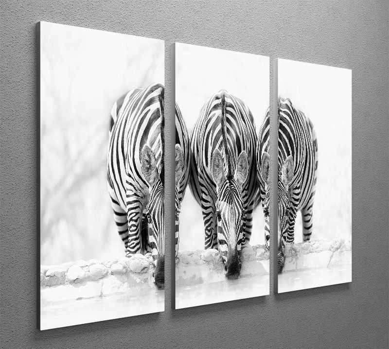 Zebras Drinking 3 Split Panel Canvas Print - Canvas Art Rocks - 2