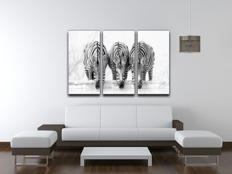 Zebras Drinking 3 Split Panel Canvas Print - Canvas Art Rocks - 3