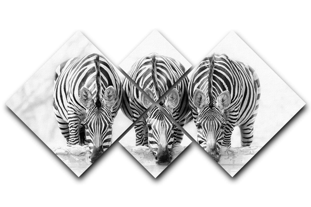 Zebras Drinking 4 Square Multi Panel Canvas - Canvas Art Rocks - 1
