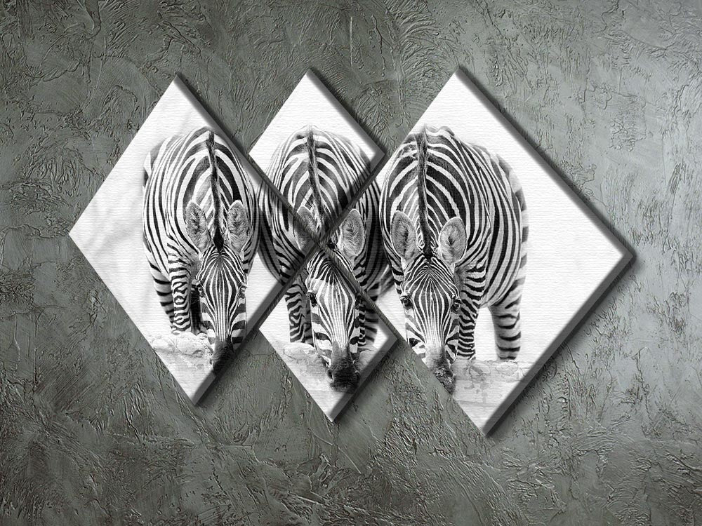Zebras Drinking 4 Square Multi Panel Canvas - Canvas Art Rocks - 2