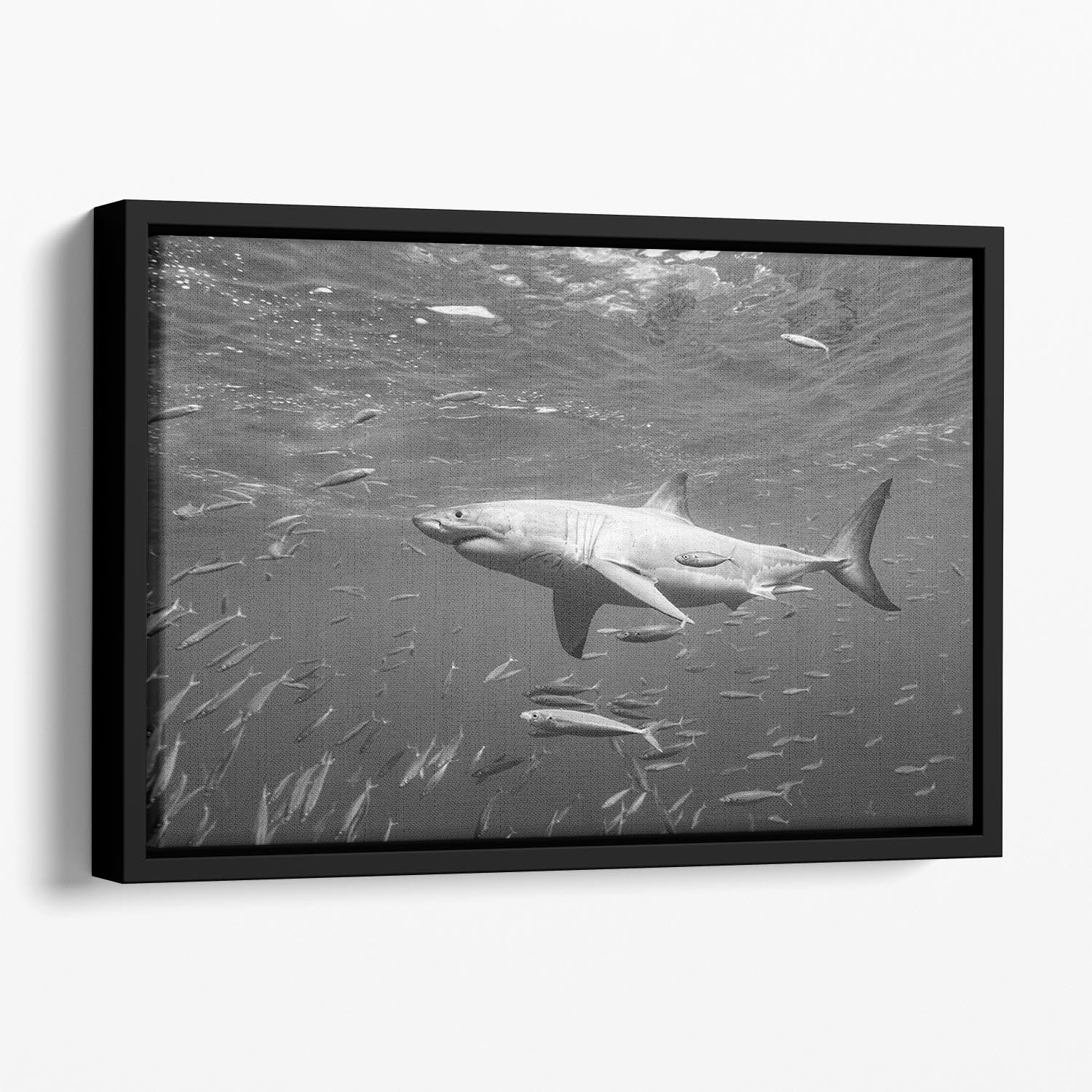 At The Surface Floating Framed Canvas - Canvas Art Rocks - 1