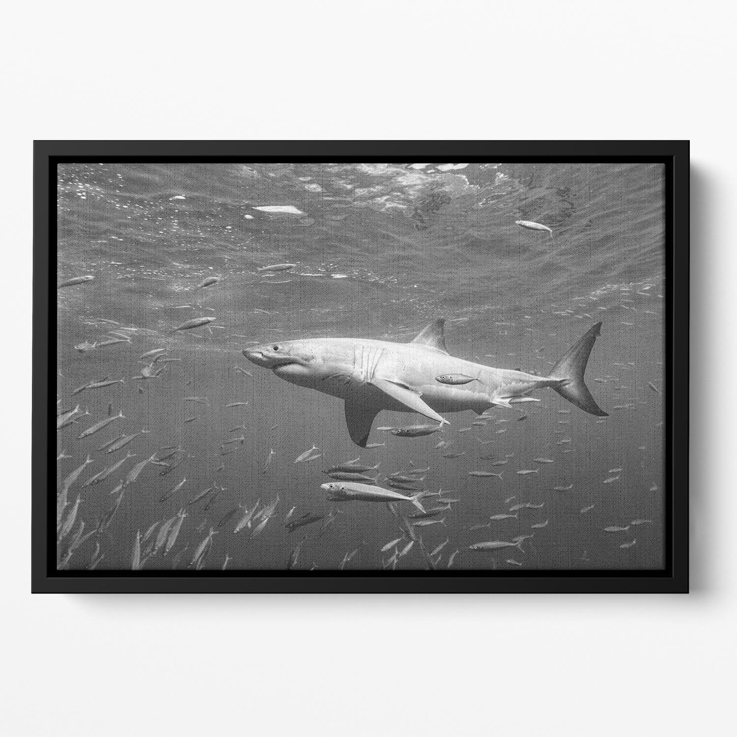 At The Surface Floating Framed Canvas - Canvas Art Rocks - 2