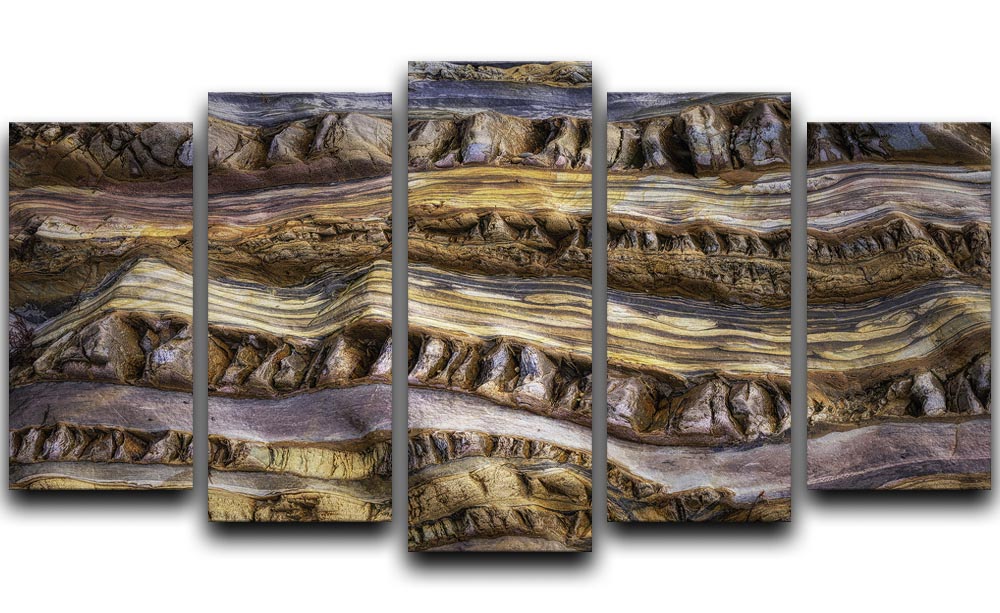 Abstractions In Nature 5 Split Panel Canvas - Canvas Art Rocks - 1