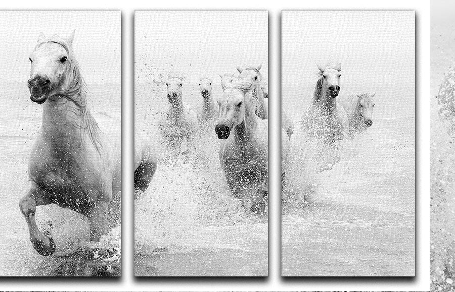 Slashing Horses 3 Split Panel Canvas Print - Canvas Art Rocks - 1