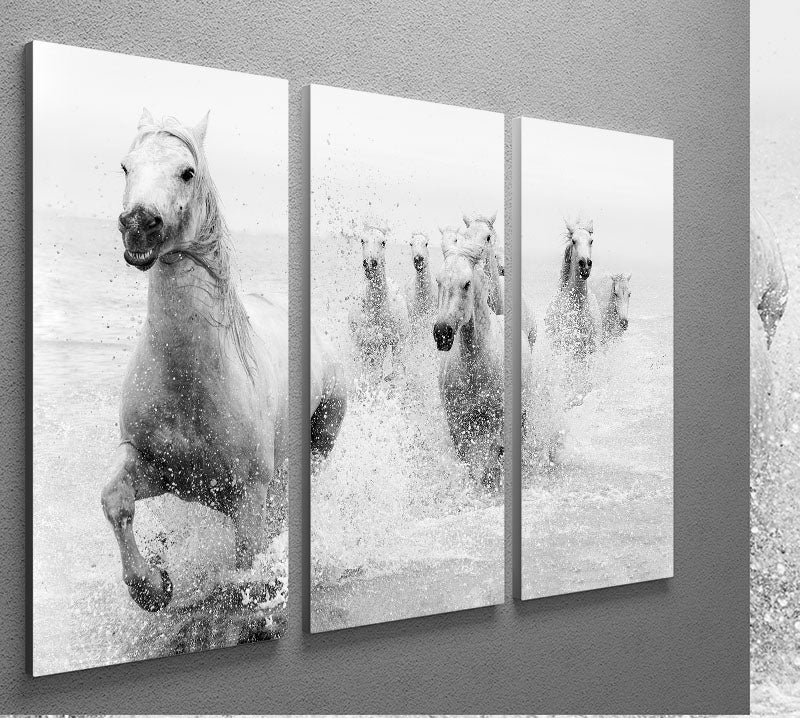 Slashing Horses 3 Split Panel Canvas Print - Canvas Art Rocks - 2