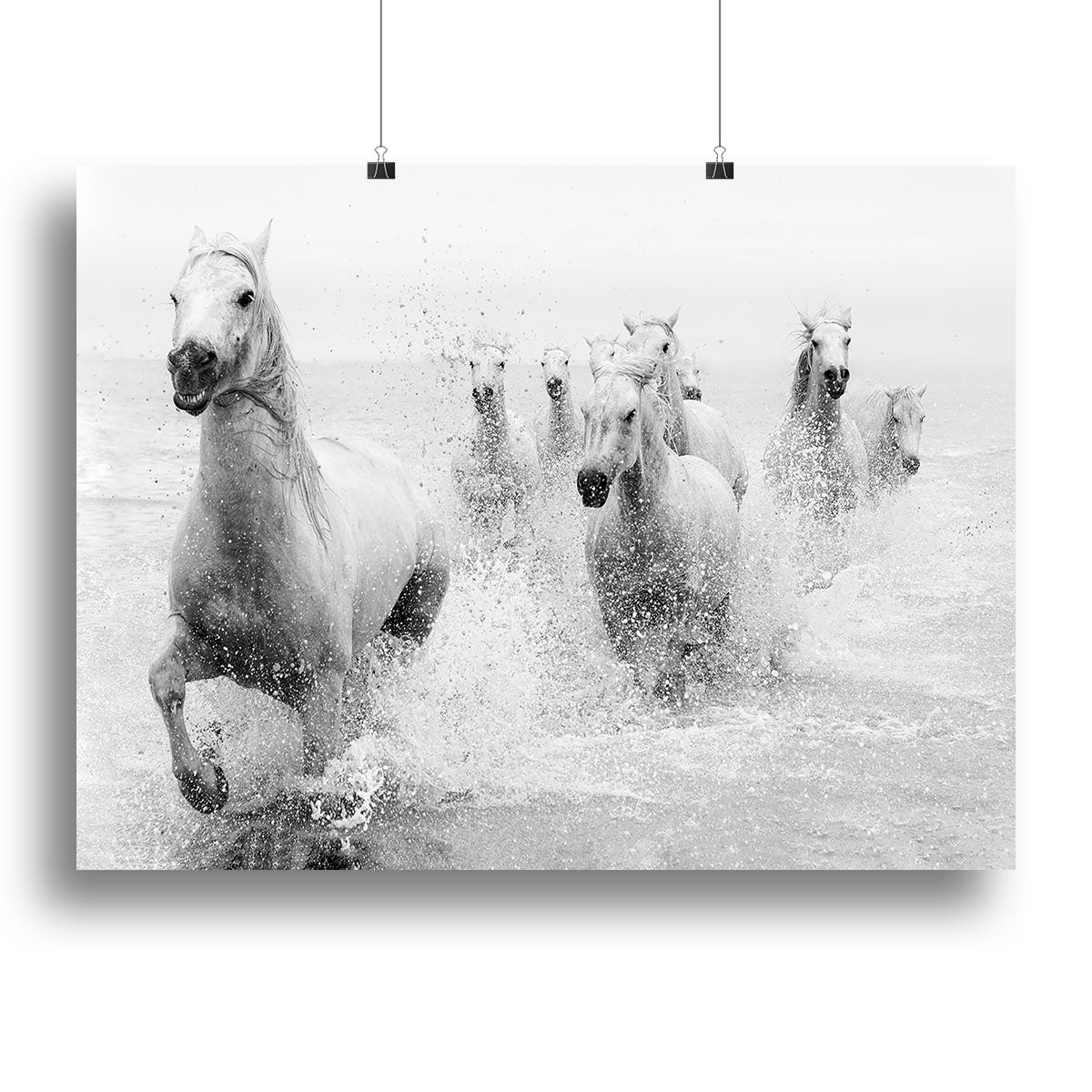Slashing Horses Canvas Print or Poster - Canvas Art Rocks - 2