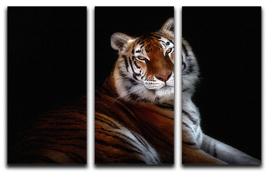 Serenity Tiger 3 Split Panel Canvas Print - Canvas Art Rocks - 1