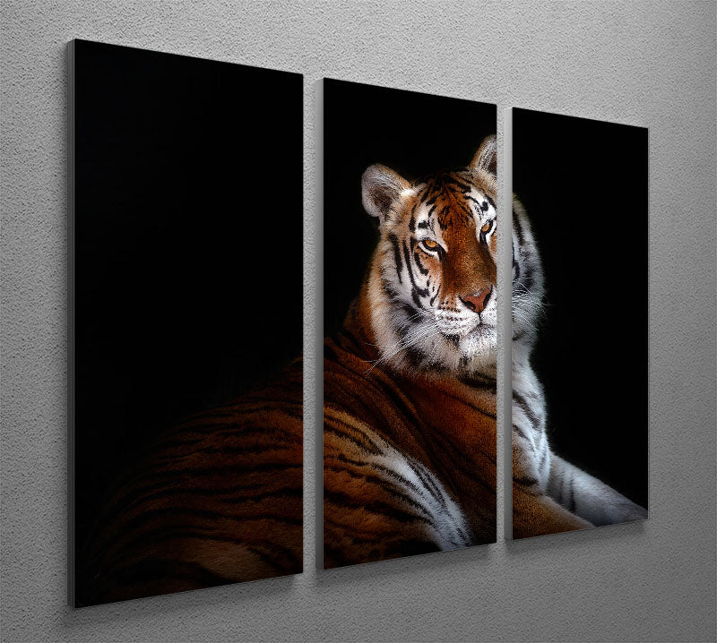 Serenity Tiger 3 Split Panel Canvas Print - Canvas Art Rocks - 2