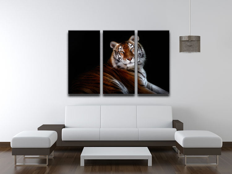Serenity Tiger 3 Split Panel Canvas Print - Canvas Art Rocks - 3