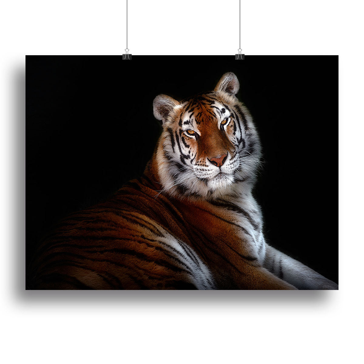 Serenity Tiger Canvas Print or Poster - Canvas Art Rocks - 2