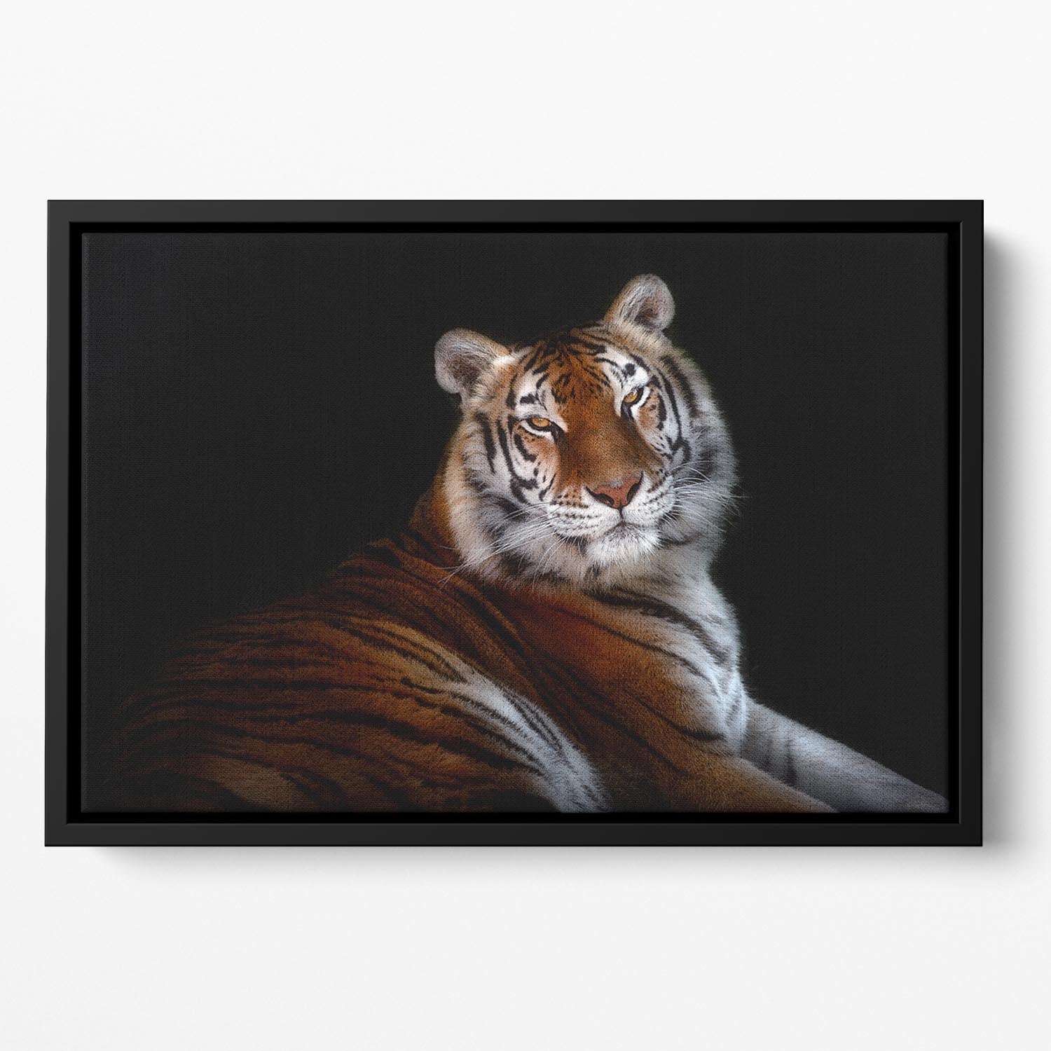 Serenity Tiger Floating Framed Canvas - Canvas Art Rocks - 2