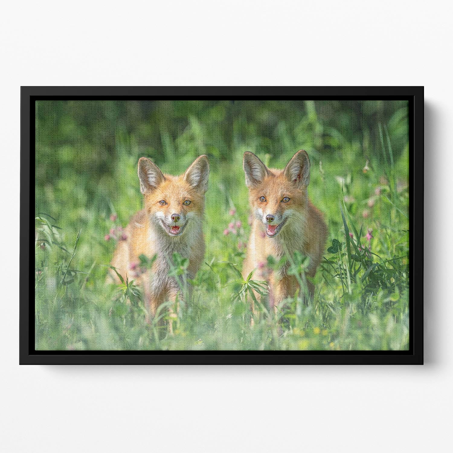 Foxes In Sprint Floating Framed Canvas - Canvas Art Rocks - 2