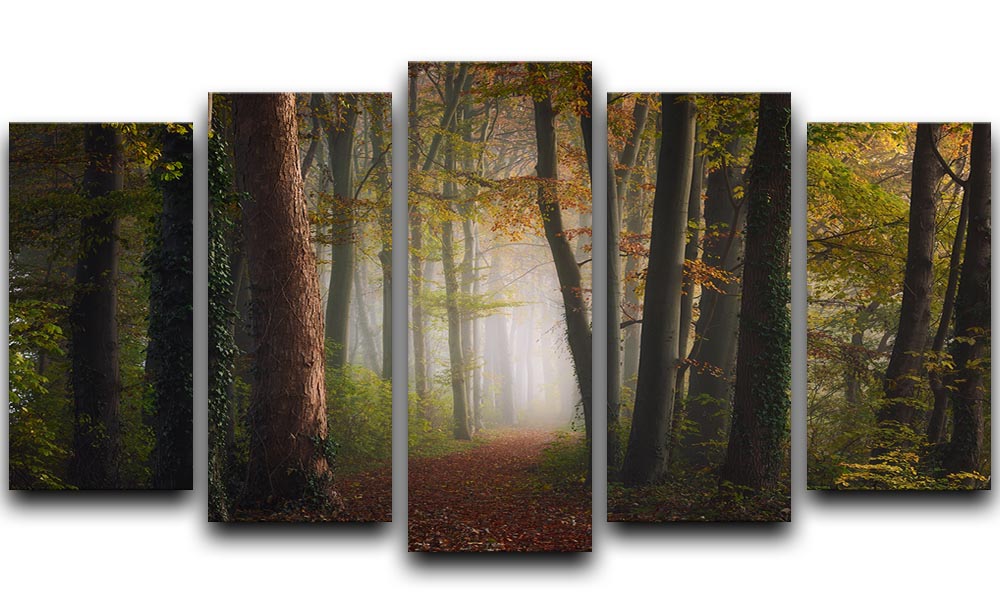 Autumn Colorful Forest 5 Split Panel Canvas - Canvas Art Rocks - 1