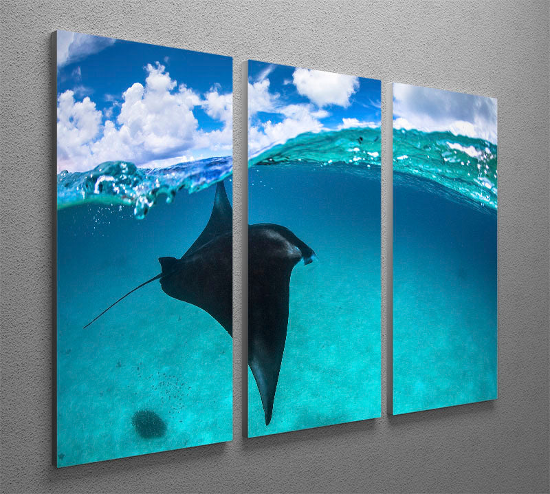 A Reef Manta Ray In Mayotte 3 Split Panel Canvas Print - Canvas Art Rocks - 2