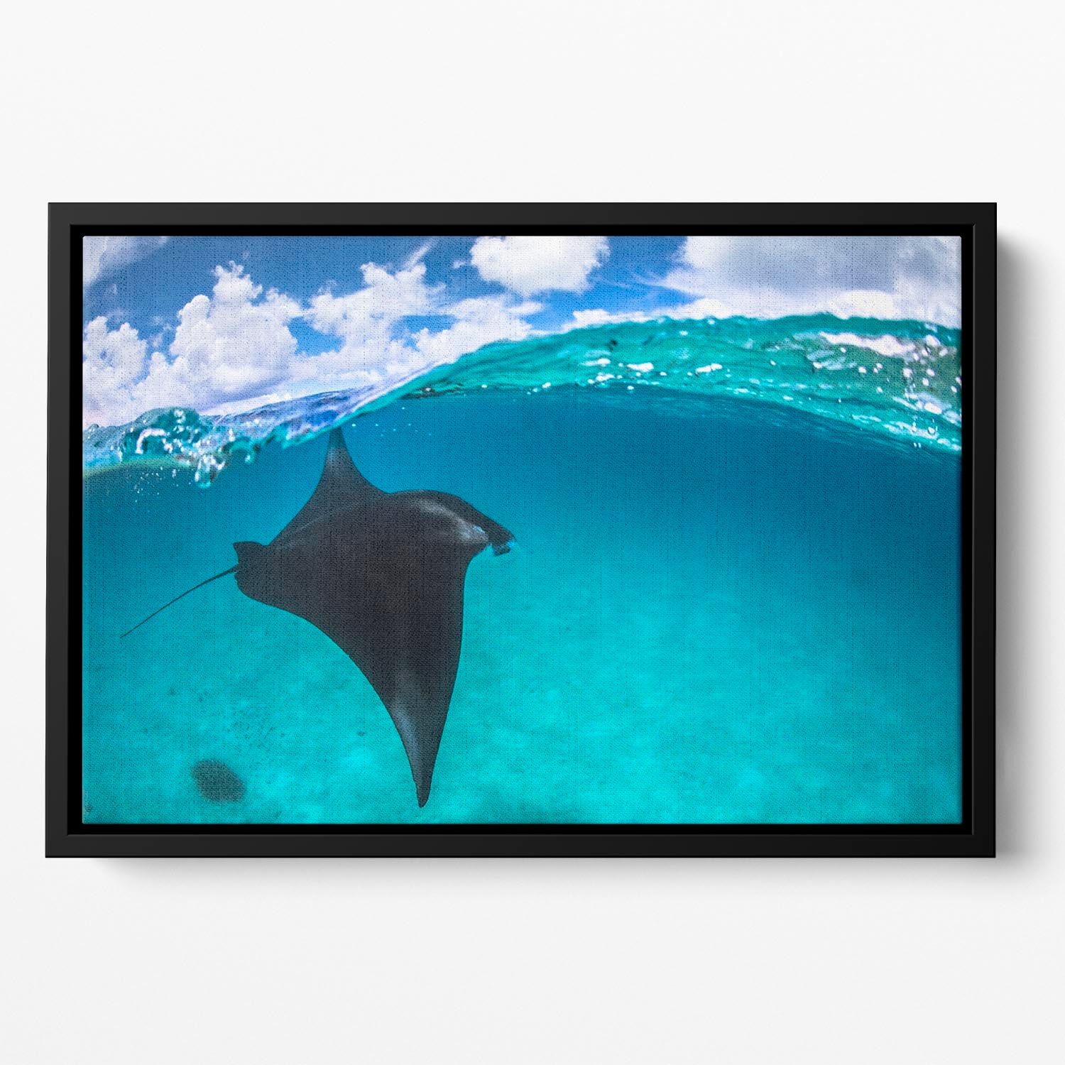 A Reef Manta Ray In Mayotte Floating Framed Canvas - Canvas Art Rocks - 2
