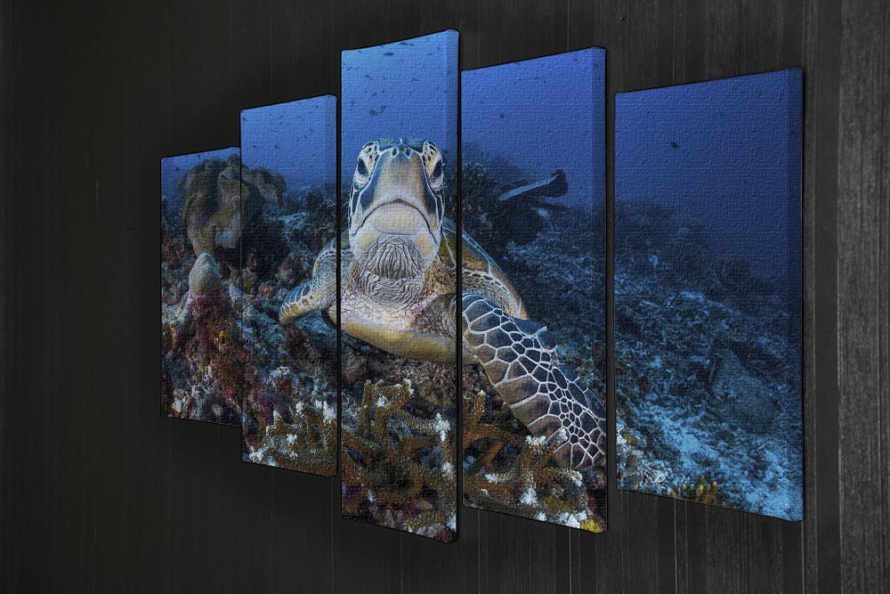 Face To Face With A Green Turtle 5 Split Panel Canvas - Canvas Art Rocks - 2