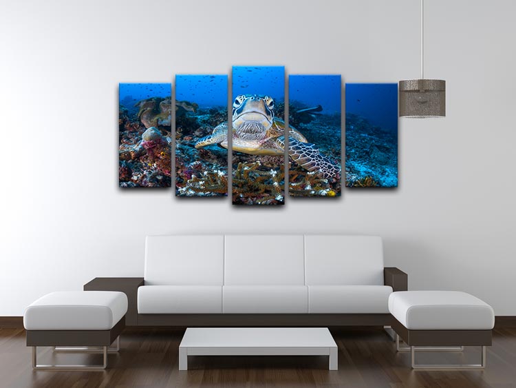 Face To Face With A Green Turtle 5 Split Panel Canvas - Canvas Art Rocks - 3