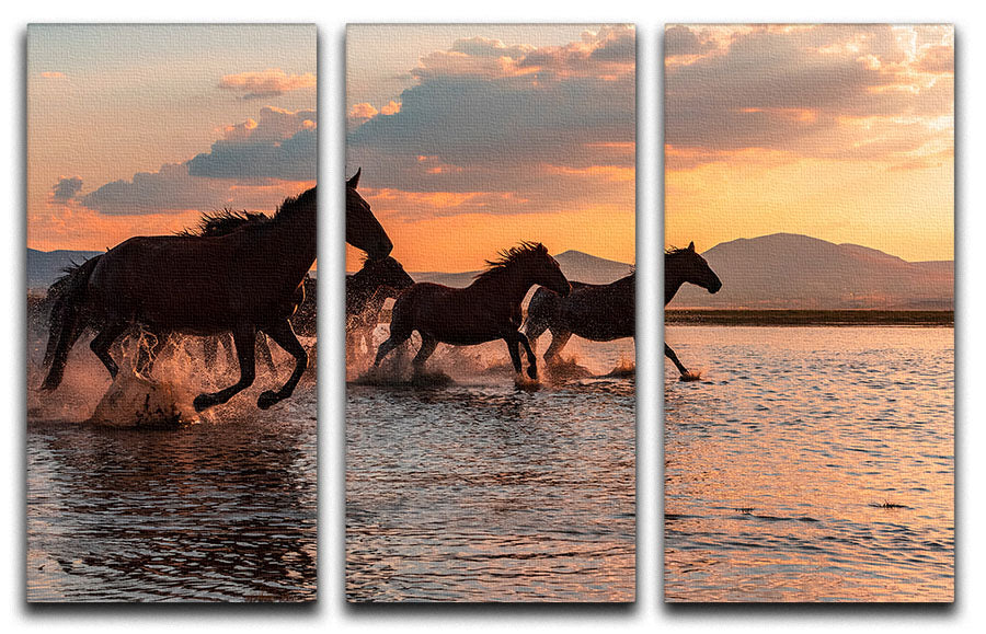 Water Horses 3 Split Panel Canvas Print - 1x - 1