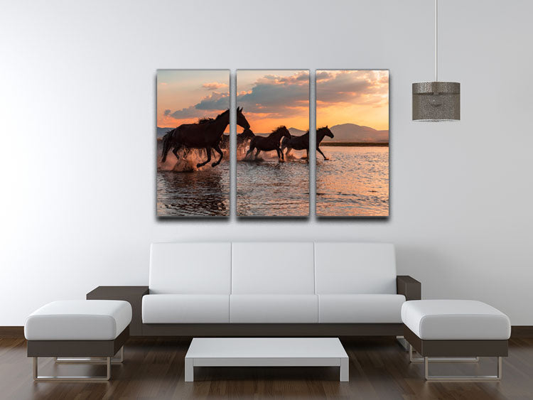 Water Horses 3 Split Panel Canvas Print - 1x - 3