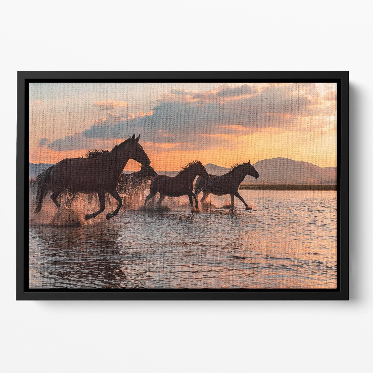 Water Horses Floating Framed Canvas - 1x - 2