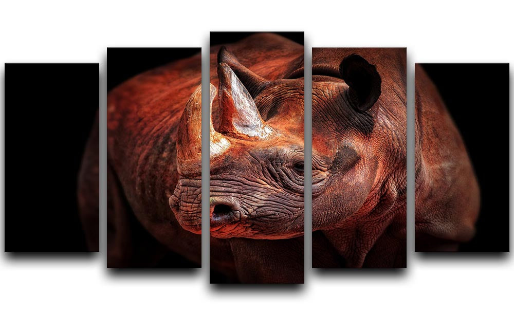 Rhino Posing 5 Split Panel Canvas - Canvas Art Rocks - 1