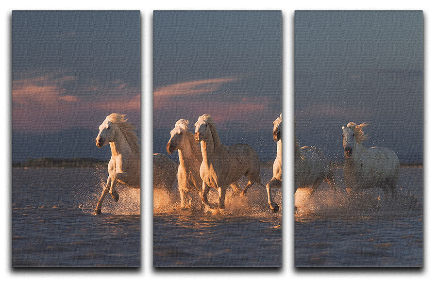 Camargue horses on sunset 3 Split Panel Canvas Print - Canvas Art Rocks - 1