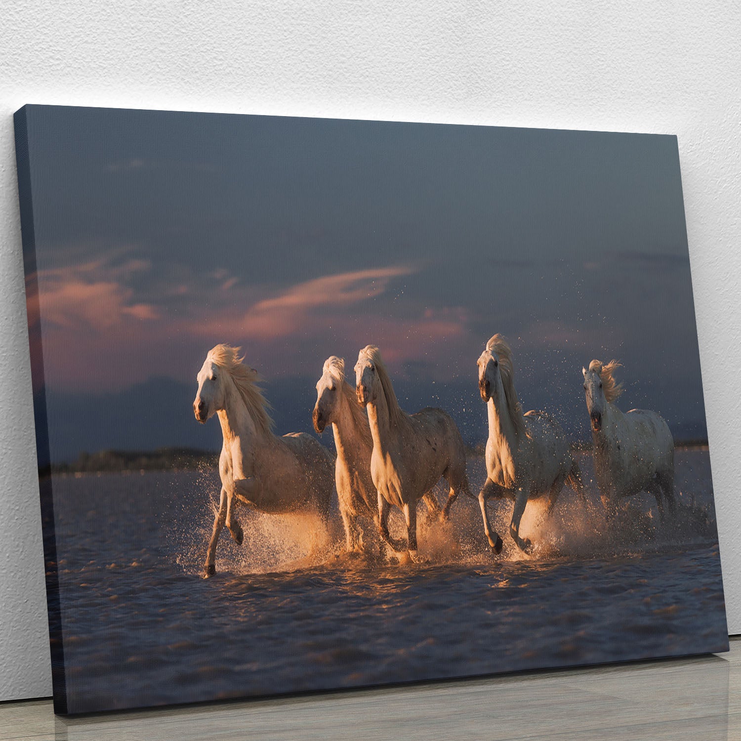 Camargue horses on sunset Canvas Print or Poster - Canvas Art Rocks - 1