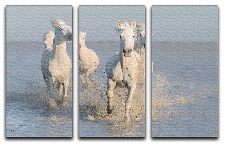 Running White Horses 3 Split Panel Canvas Print - Canvas Art Rocks - 1