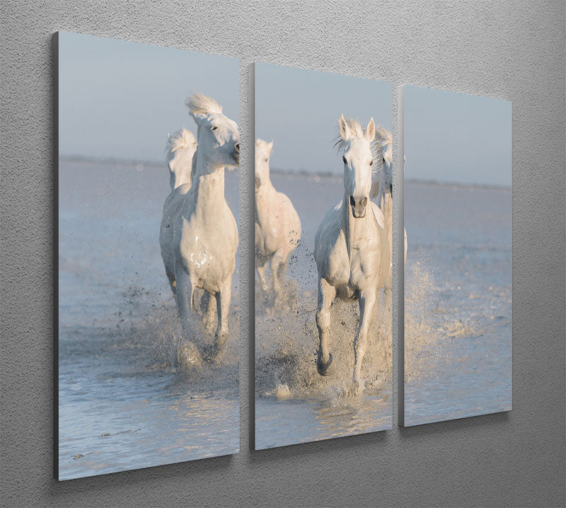 Running White Horses 3 Split Panel Canvas Print - Canvas Art Rocks - 2
