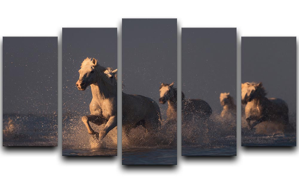 Horses in sunset light 5 Split Panel Canvas - Canvas Art Rocks - 1